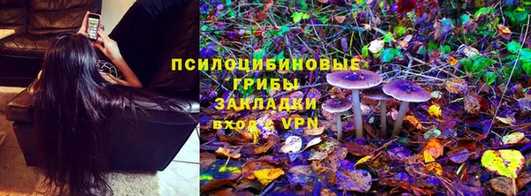 прущий лед Снежногорск