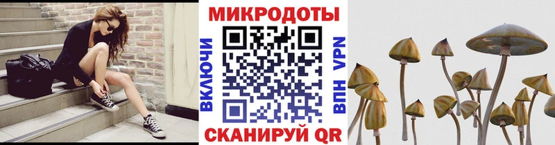 OMG онион  Магас  Галлюциногенные грибы прущие грибы 
